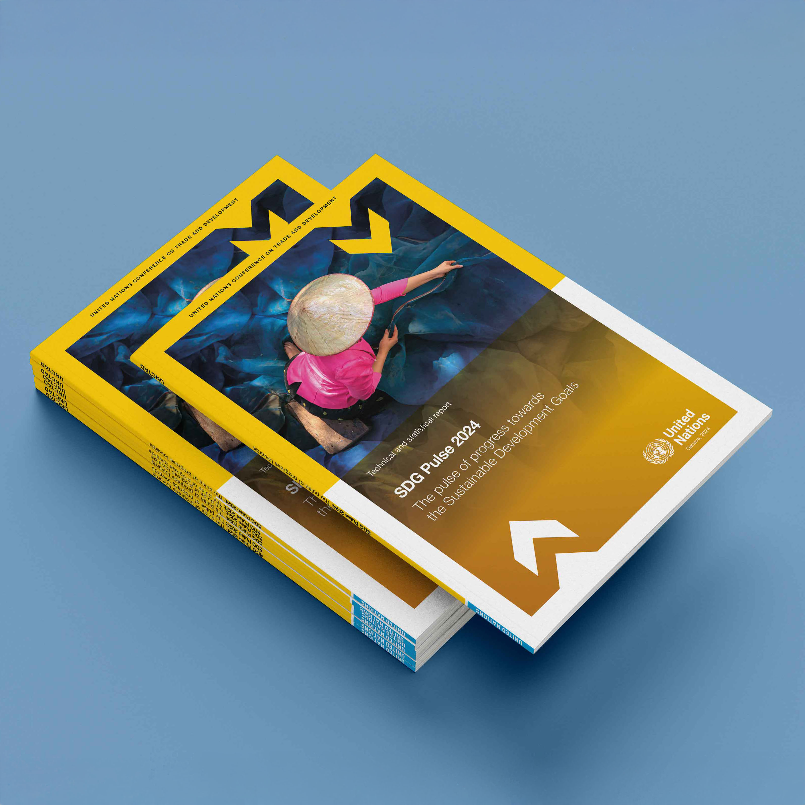 SG Pulse 2024 - Layout of the publication for UN Trade and Development - Statistics Division