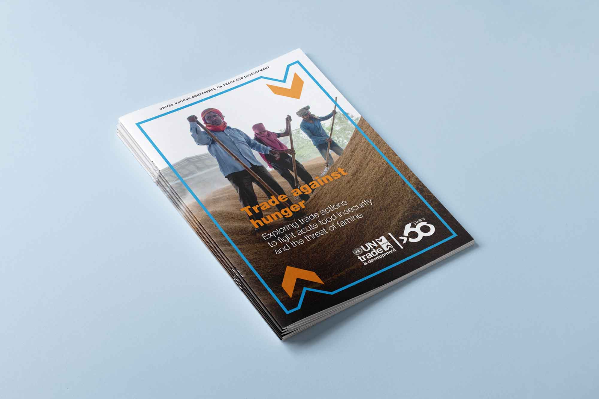 Report on Djibouti - Layout of the publication